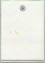 Painted Flower Note Card Set