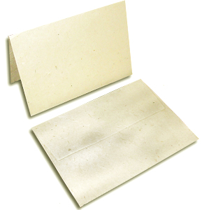 Seeded Lotka Notecards