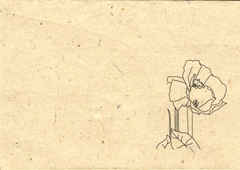 Lotka Seeded Wildflower Blank card set of 6 Cards and A5 Envelopes - Poppy Design