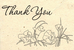 Lotka Seeded Wildflower Thank You card set of 6 Cards and A5 Envelopes - Prim Rose and Monkey Flower Design