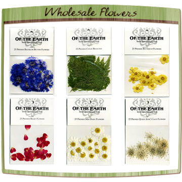 Dried, pressed flowers