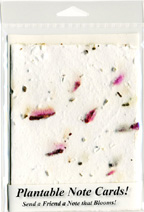 Beets Plantable Note Cards