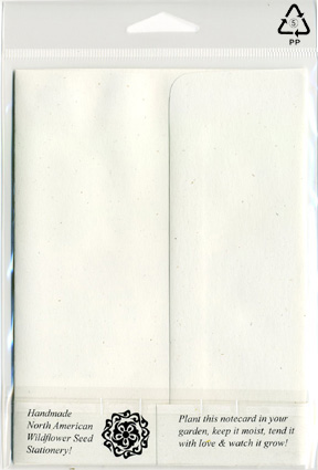 Fern and Seeds Plantable Note Cards