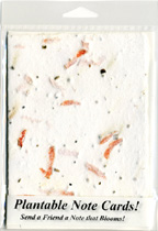 Carrot Plantable Note Cards