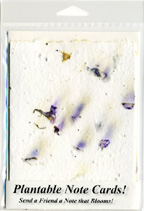 Purple Larkspur Plantable Note Cards