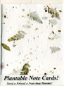 Seeded Plantable Notecards
