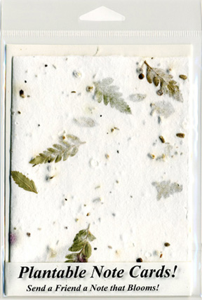 Fern and Seeds Plantable Note Cards