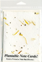 Marigold Plantable Note Cards