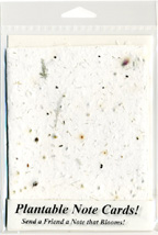 Plumosus Fern Plantable Note Cards