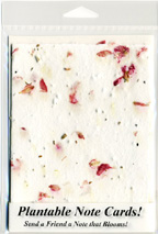 Pink Larkspur Plantable Note Cards