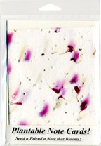 Stock Plantable Note Cards