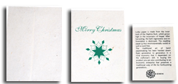 Seeded Holiday Cards and Envelopes