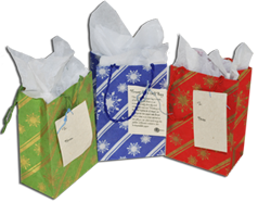 Holiday Seeded Gift Bags