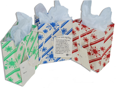 Holiday Seeded Gift Bags