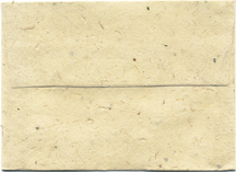 seeded a5 envelopes