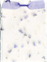 larkspur paper