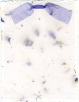 larkspur and seed paper