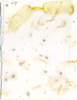 marigold and seed paper