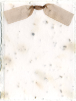 handmade wildflower seed paper
