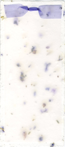 handmade larkspur and seed paper