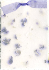 larkspur paper