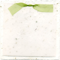 handmade chard paper