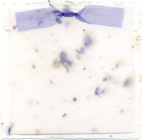 handmade seed and larkspur paper
