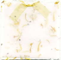 handmade seed and marigold paper