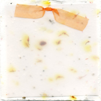 handmade seed and safflower paper
