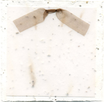 handmade seed paper