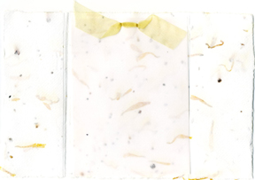 marigold and wildflower seeds paper