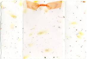 safflower and wildflowerseeds paper