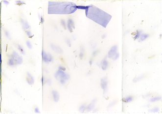 handmade larkspur paper