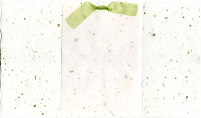 Handmade chard and seeds paper