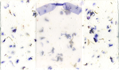 Handmade larkspur paper