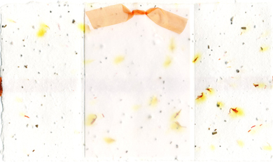 Handmade safflower and seeds paper