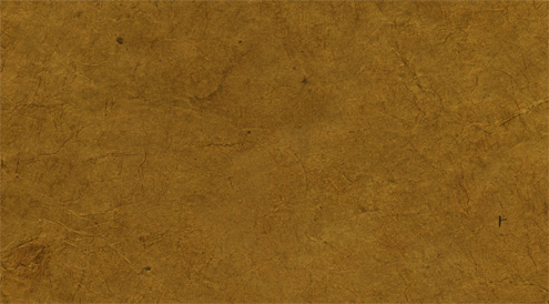 Earth Spice Lotka Paper