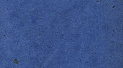 Periwinkle Lotka Paper
