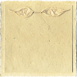 Natural Seeded Invitation Kit