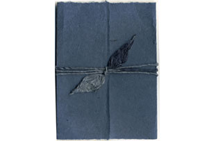 Click to see the bundled kit