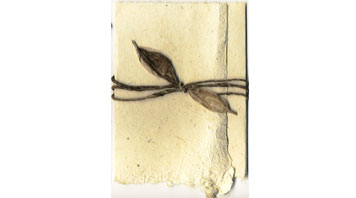 Natural Seeded Invitation Kit