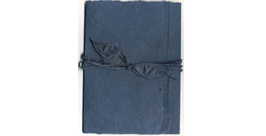 Spruce Seeded Invitation Kit