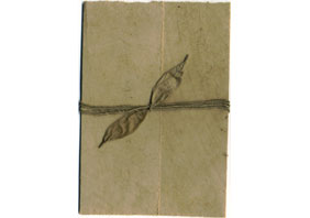 Aspen Seeded Invitation Kits