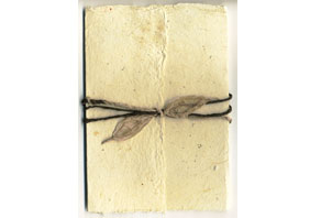 Natural Seeded Invitation Kits