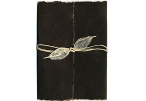 Sequoia Seeded Invitation Kits