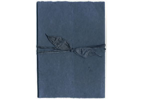 Spruce Seeded Invitation Kits