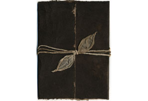 Click to see the bundled kit