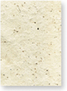 Lotka Seed Paper