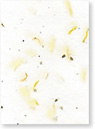 Marigold and Seed Paper