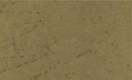 Aspen Seeded Handmade Lotka Paper